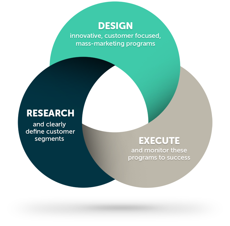 Design innovative, customer focused, mass-marketing programs. Research and clearly define customer segments.
				  Execute and monitor these programs to success.